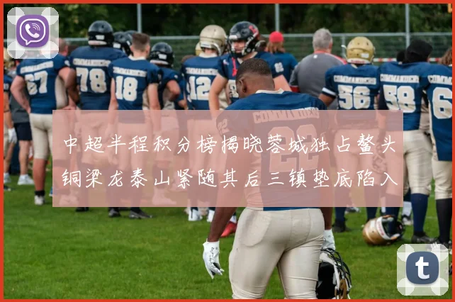 中超半程积分榜揭晓蓉城独占鳌头铜梁龙泰山紧随其后三镇垫底陷入困境